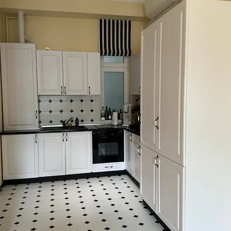Charming & Lovely Downtown Apartment Timisoara
