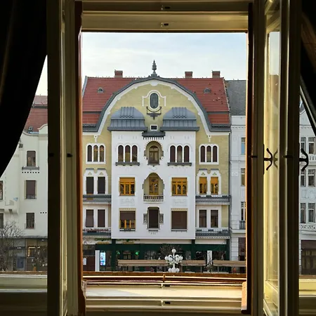 Charming & Lovely Downtown Apartment