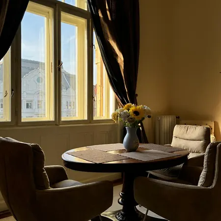 Charming & Lovely Downtown Apartment Timisoara