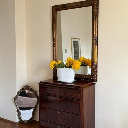 Charming & Lovely Downtown Timisoara