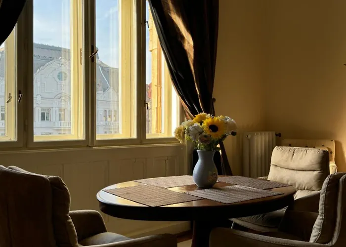 Charming & Lovely Downtown Apartment Timisoara